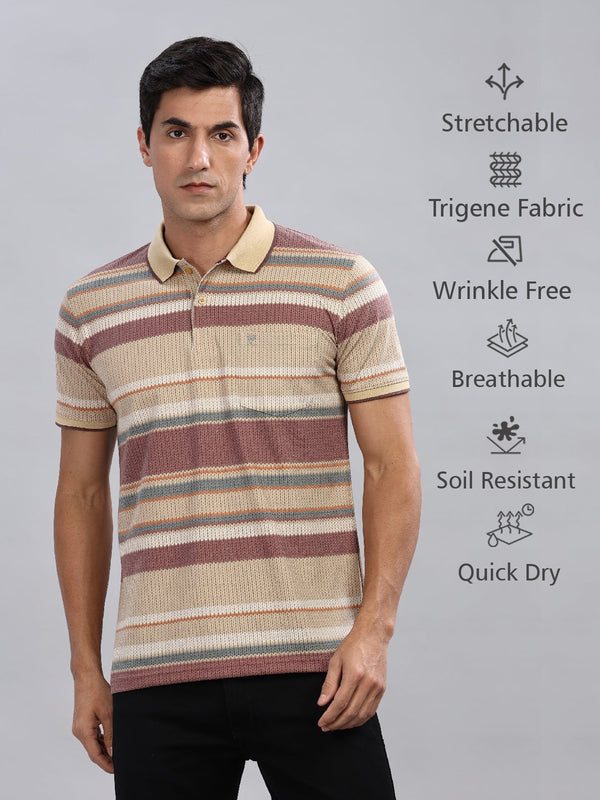 Brown Striped Printed Regular Fit Polo Tees
