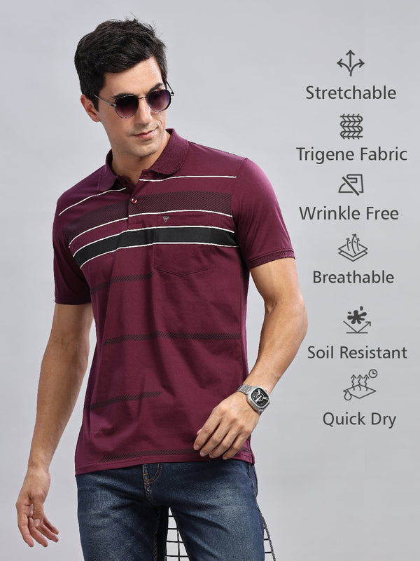 Burgundy Striped Regular Fit Polo Tees